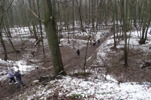 Екскурсія до Холодного Яру на первоцвіти
